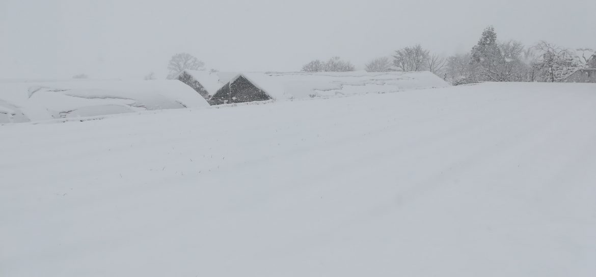 大雪